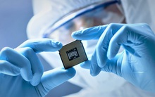 Chưa bao giờ thế giới 'đói' chip đến thế