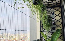 Nỗi đau từ ‘tử huyệt’ nhà chung cư: Đề xuất chủ đầu tư phải lắp lưới an toàn ban công