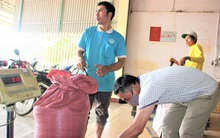 Kỳ lạ, nông dân mua lại hồ tiêu của đại lý đầu cơ giữa lúc giá nhảy múa