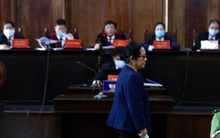 Vì sao nữ đại gia Dương Thị Bạch Diệp bị đề nghị mức án chung thân?