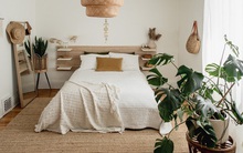 3 loại cây là "khắc tinh" của phòng ngủ, chớ mua kẻo rước bệnh tật và vận xui vào người