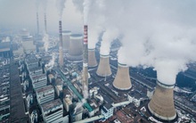 CREA: Việt Nam có thể thiệt hại 270 triệu USD/năm nếu phát triển nhiệt điện than theo Quy hoạch điện VIII