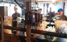 "Sóng lớn" tại một trong 12 đại dự án thua lỗ của ngành Công Thương: Lãi ròng sau kiểm toán tăng 74% và sự ra đi của Gelex