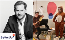 Vừa làm giám đốc công ty tỷ đô, Harry lại có thêm việc làm mới giữa lúc lùm xùm nói dối của vợ vẫn chưa "hạ nhiệt"