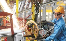 Chuyên gia CIEM lý giải nguyên nhân lần đầu tiên Việt Nam vào nhóm 'Chỉ số tự do kinh tế mức trung bình'