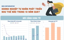 Doanh nghiệp tư nhân phát triển thế nào trong 10 năm qua?