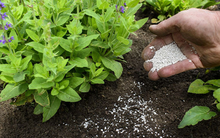 Bộ Công Thương nhận hồ sơ đề nghị miễn trừ áp thuế tự vệ với phân DAP và một số sản phẩm thép