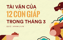 Tài vận của 12 con giáp trong tháng 3: Người càng tiêu tiền càng làm ra tiền, người cẩn thận kẻo hao tài vì chuyện không đáng