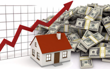 Tân chủ tịch HĐQT Tổng công ty Xây dựng số 1 vừa rót 170 tỷ đồng mua cổ phiếu CC1, đã tạm lãi 58% sau 1 tuần