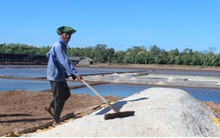 Diêm dân không vui vì muối mất mùa, rớt giá