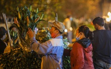 Chợ hoa lớn nhất Hà Nội tấp nập trước ngày 8/3