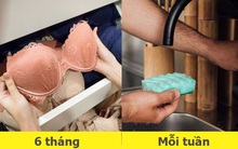 19 món đồ bạn thường sử dụng và thời điểm bạn cần thay mới để đảm bảo chất lượng