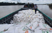 Sản lượng mía nội địa thấp chưa từng có