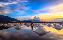 Phiên IPO Visalco: Số lượng đặt mua gấp 3 lần số cổ phần mang ra chào bán