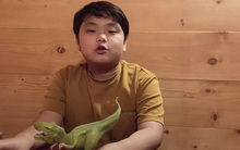 Thắng 40 triệu đồng ở Ai là triệu phú nhưng Xuân Bắc vẫn bị Bi béo chất vấn: Câu trả lời của anh khiến khán giả ngỡ ngàng vì cách dạy con!