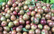 Mận hậu đầu mùa rẻ bằng 1/2 năm ngoái, tưởng bán chạy ai ngờ trái ngược hẳn