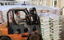 PSE: Quý 1 lãi 10,5 tỷ đồng, vượt 31% kế hoạch cả năm 2021