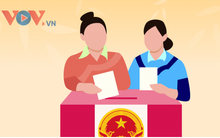 Các hành vi bị cấm trong vận động bầu cử Quốc hội, HĐND