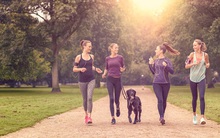 Dễ bắt đầu, duy trì đơn giản, nhưng bạn cần đi bộ như thế nào mới có hiệu quả với sức khỏe?