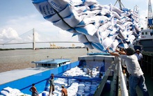 Thị trường xuất khẩu gạo lớn nhất của Việt Nam giảm mạnh