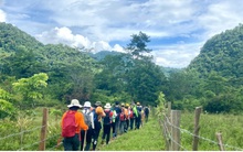 Giảm giá kích cầu du lịch là “con dao hai lưỡi”?