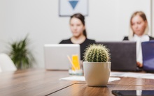 Phong thuỷ không thể đặt bừa bãi, chỉ một chi tiết nhỏ cũng có thể dẫn đến “lợi bất cập hại”