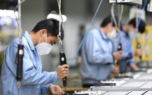 Vì sao mục tiêu 1 triệu doanh nghiệp năm 2020 thất bại?