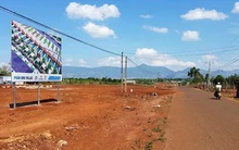 Bát nháo mua bán đất ở Tây Nguyên