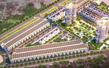 Damsan (ADS): Quý 1 lãi 19 tỷ đồng – cao nhất trong lịch sử niêm yết