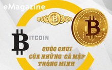 Bitcoin: Cuộc chơi của những “cá mập” thông minh