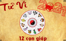 6 con giáp quyền lực nhất năm 2021: Sự nghiệp nở rộ, tài lộc dồi dào, tình duyên viên mãn