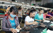 Đề xuất thay đổi tiền lương đóng bảo hiểm xã hội, chế độ thai sản, hưu trí, ốm đau