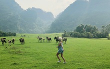 Đếm ngược tới kỳ lễ 30/4-1/5: Về miền "đồng rừng" siêu rẻ, siêu mê mẩn, thả hồn rong chơi trên những thảo nguyên xanh ngút ngàn