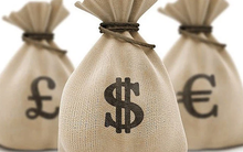 Đá Hóa An (DHA) chốt danh sách cổ đông trả cổ tức tỷ lệ 30% bằng tiền