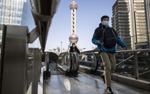 Nước mắt và sự sợ hãi: Đằng sau quyết định từ bỏ tham vọng mở rộng hoạt động ở Trung Quốc của 'huyền thoại' Vanguard