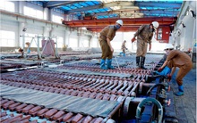 Khoáng sản TKV: Quý 1 lãi 151 tỷ đồng cao gấp 6 lần cùng kỳ 2020