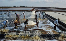Nghề muối Bạc Liêu hướng đến nâng cao giá trị sản xuất