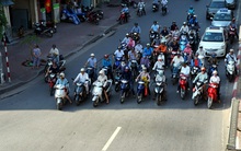 Chờ đèn đỏ dưới bóng cây tránh nắng, người tham gia giao thông bị phạt bao nhiêu?