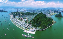 Sau khi đạt 8,8 triệu lượt khách năm 2020, Quảng Ninh đặt mục tiêu thu hút 10 triệu lượt khách năm nay