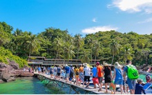 Lữ hành giữa đại dịch: "Cá nhanh" sẽ nuốt "cá chậm"