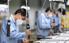 Nâng cao năng lực cạnh tranh quốc gia tương xứng với quy mô GDP