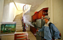 Cảnh giác với năm ‘chu kỳ’ của dịch sốt xuất huyết