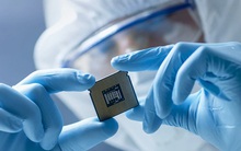 Trả lương 4 tỷ một năm vẫn không tuyển được nhân tài ngành bán dẫn