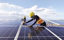 Quý 1/2021, huy động năng lượng tái tạo tăng hơn 180%