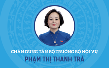 Chân dung Bộ trưởng nữ duy nhất trong Chính phủ vừa được bổ nhiệm