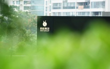 Những gã khổng lồ công nghệ Trung Quốc hứng chịu đòn giáng mạnh: Bắc Kinh yêu cầu tách rời các dịch vụ tài chính