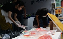 Nhập khẩu, chăn nuôi bò có còn hấp dẫn?