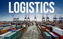 Cánh đồng mẫu lớn đang ngày càng hẹp, vì sao?