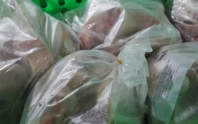 Nhập khẩu thịt heo Nga tăng hơn 1.100%