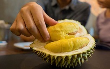 Sầu riêng rất ngon nhưng người có 6 đặc điểm dưới đây ăn vào sẽ "ôm họa" và cần lưu ý vài điều để ăn sầu không bị nóng, không tăng cân